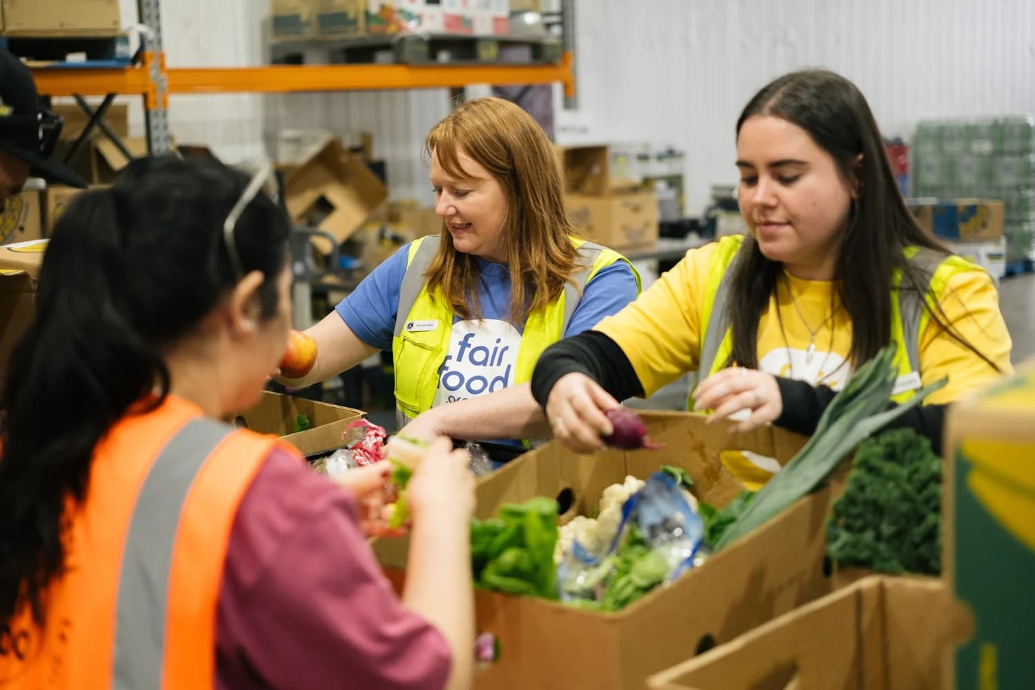 Volunteers sorting rescued kai at the Fair Food warehouse